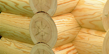 Valtti Log foto srub