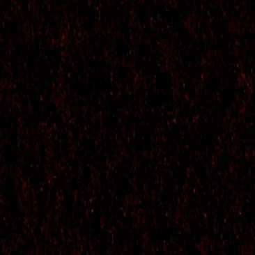 Borma Wachs Ecostucco Шпаклевка акриловая на водной основе