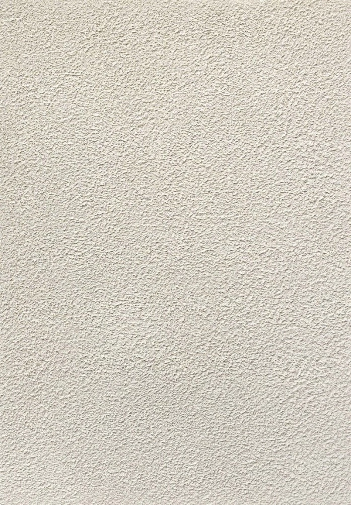 Рогнеда Dali-Decor / Дали-Декор Шуба штукатурка декоративная акриловая