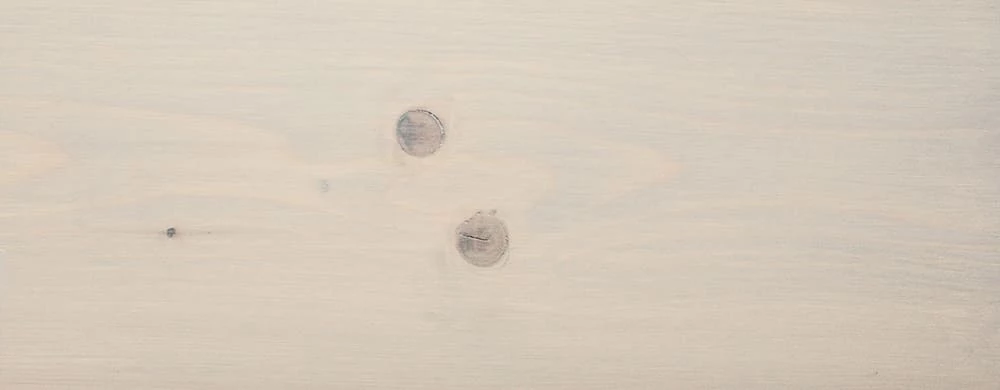 Biofa 2043 Масло защитное для наружных работ с антисептиком