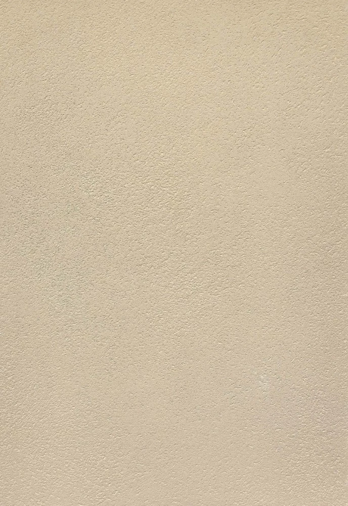 Рогнеда Dali-Decor / Дали-Декор Шуба штукатурка декоративная акриловая