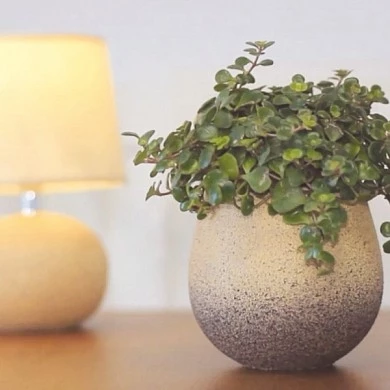 Rust-Oleum Stops Rust MultiColor Textured Spray Эмаль многоцветная текстурная, спрей