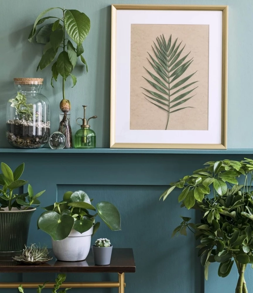 San Marco Paeninsula Eggshell Краска декоративная с эффектом яичной скорлупы для внутренних работ