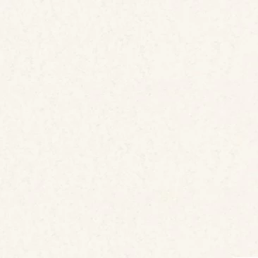 Borma Wachs Ecostucco Шпаклевка акриловая на водной основе